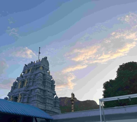 Sri Prasanna Venkateswara Swamy Temple, Appalayagunta , Andhra Pradesh 517551